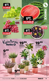 Netto gazetka tydzień 34 Strona 9