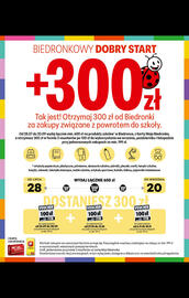Biedronka gazetka Strona 103