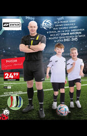 Biedronka gazetka Strona 42
