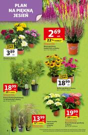 Auchan gazetka tydzień 34 Strona 4