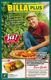 Billa Flugblatt woche 34 Seite 1