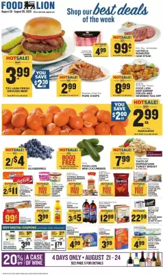 Food Lion Weekly Ad