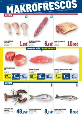 Folleto Makro (válido hasta el 25-08)