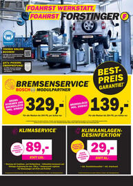 Forstinger Flugblatt Seite 5