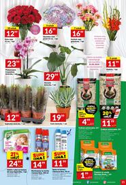 Twój Market gazetka tydzień 34 Strona 21