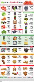 ShopRite Weekly Ad week 33 Page 11