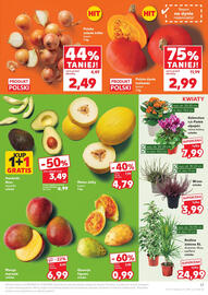 Kaufland gazetka tydzień 34 Strona 17