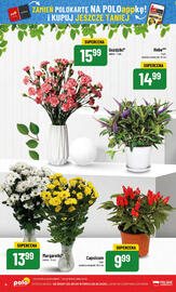 Polomarket gazetka tydzień 34 Strona 6