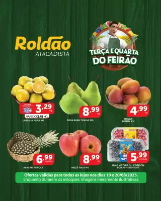 Catálogo Roldão (válido até 20-08)