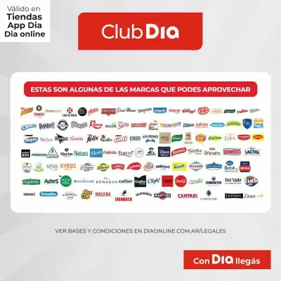 Catálogo Supermercados DIA (válido hasta 31-08)