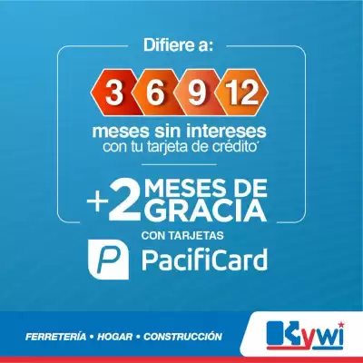 Catálogo Mega Kywi (válido hasta 31-08)