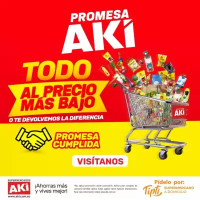 Catálogo Akí (válido hasta 31-08)