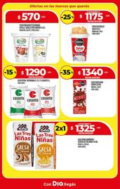 Catálogo Supermercados DIA semana 34 Página 10
