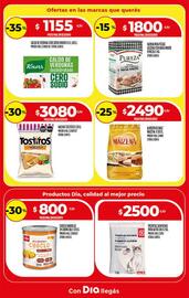Catálogo Supermercados DIA semana 34 Página 14