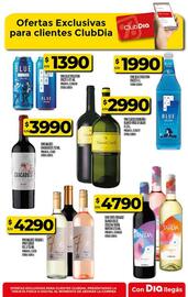 Catálogo Supermercados DIA semana 34 Página 48