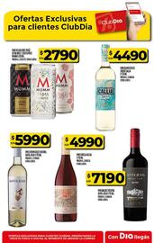 Catálogo Supermercados DIA semana 34 Página 49