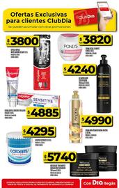 Catálogo Supermercados DIA semana 34 Página 51
