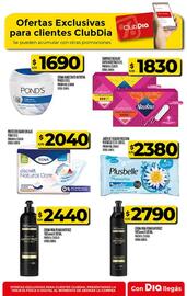 Catálogo Supermercados DIA semana 34 Página 52