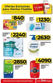 Catálogo Supermercados DIA semana 34 Página 53