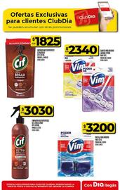 Catálogo Supermercados DIA semana 34 Página 55