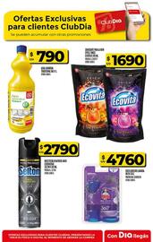 Catálogo Supermercados DIA semana 34 Página 56