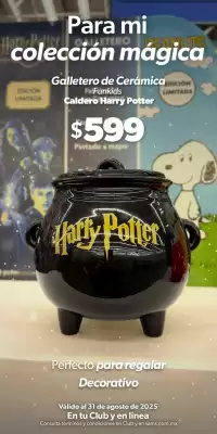 Catálogo Sam's Club (válido hasta 31-08)