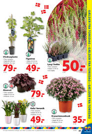 Lidl tilbudsavis uge 35 Side 29