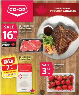 Co-Op Food flyer (valid until 21-08)