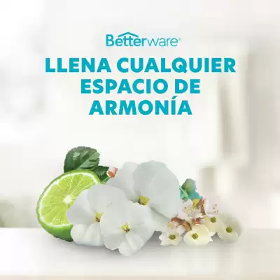 Catálogo BetterWare (válido hasta 31-08)