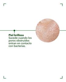 Catálogo Yves Rocher Página 2