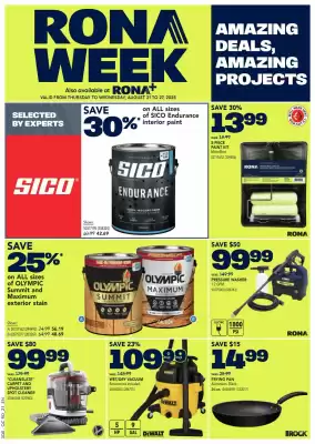 RONA flyer