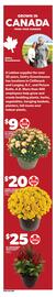 Independent Grocer flyer week 34 Page 9