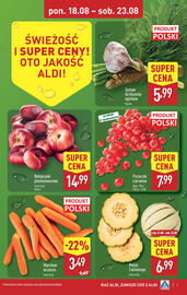 ALDI gazetka Strona 9