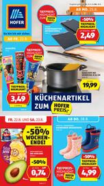 Hofer Flugblatt woche 34 Seite 1