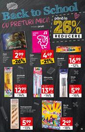 Catalog PROFI Pagină 13