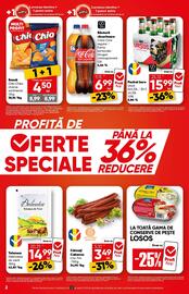 Catalog PROFI Pagină 2