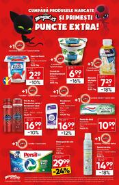 Catalog PROFI Pagină 4