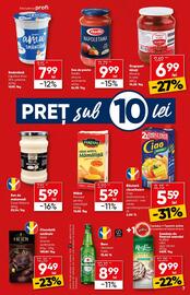 Catalog PROFI Pagină 7