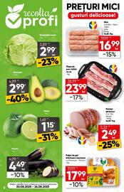 Catalog PROFI Pagină 8