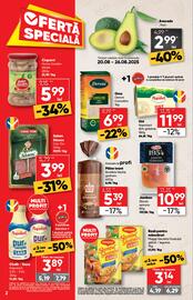 Catalog PROFI Pagină 2