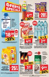 Catalog PROFI Pagină 6