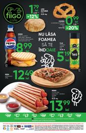 Catalog PROFI Pagină 8