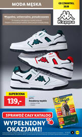 Lidl gazetka Strona 13