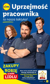 Lidl gazetka Strona 17