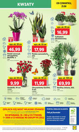 Lidl gazetka Strona 49