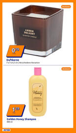 Action Prospekt woche 34 Seite 11