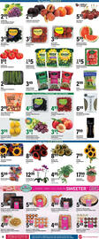 Big Y Weekly Ad week 34 Page 10