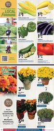 Big Y Weekly Ad week 34 Page 2
