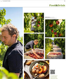 Waitrose leaflet week 34 Page 33