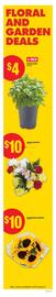 No Frills flyer week 34 Page 10